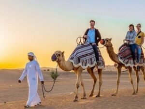 Dubai Camel Ride at Safari